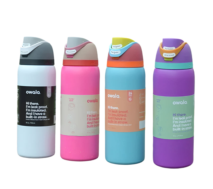 Insulated Stainless Steel Water Bottle with Straw